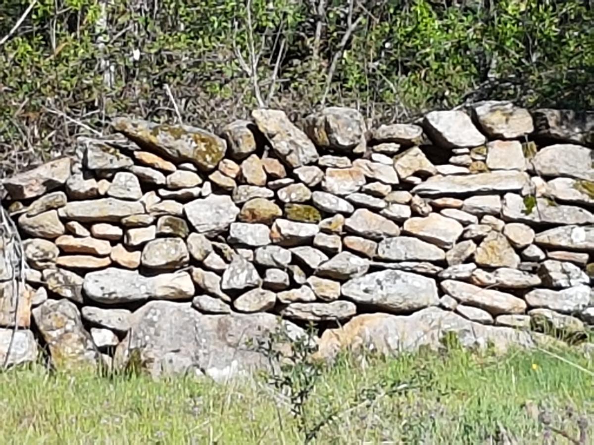 La Posada De Horcajuelo Horcajuelo de la Sierra Εξωτερικό φωτογραφία