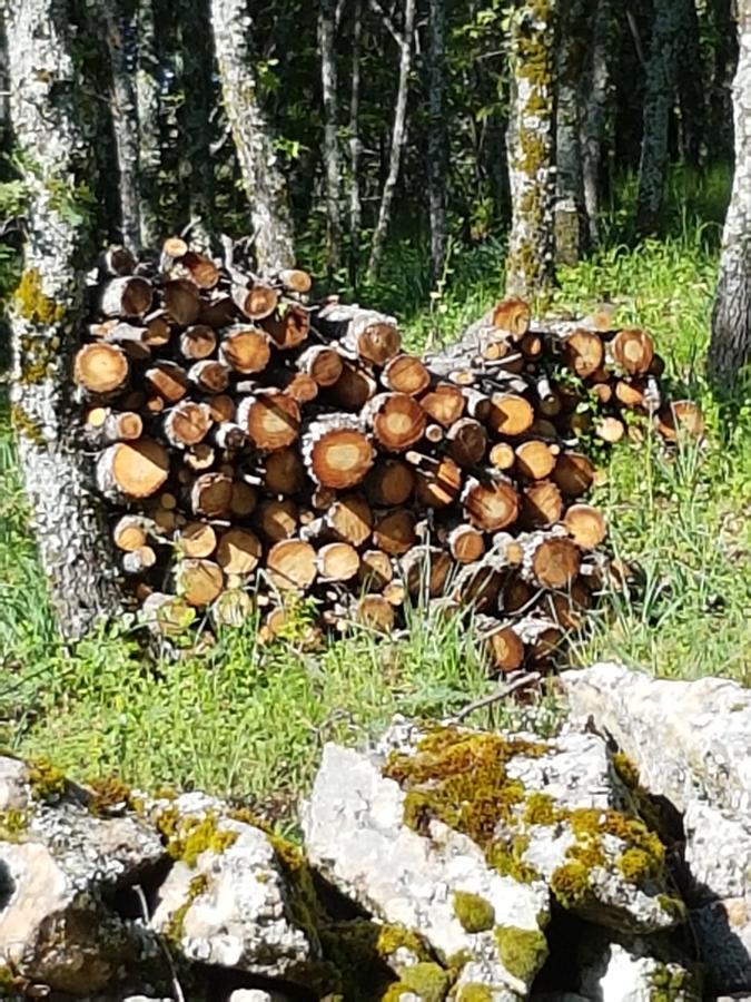 La Posada De Horcajuelo Horcajuelo de la Sierra Εξωτερικό φωτογραφία