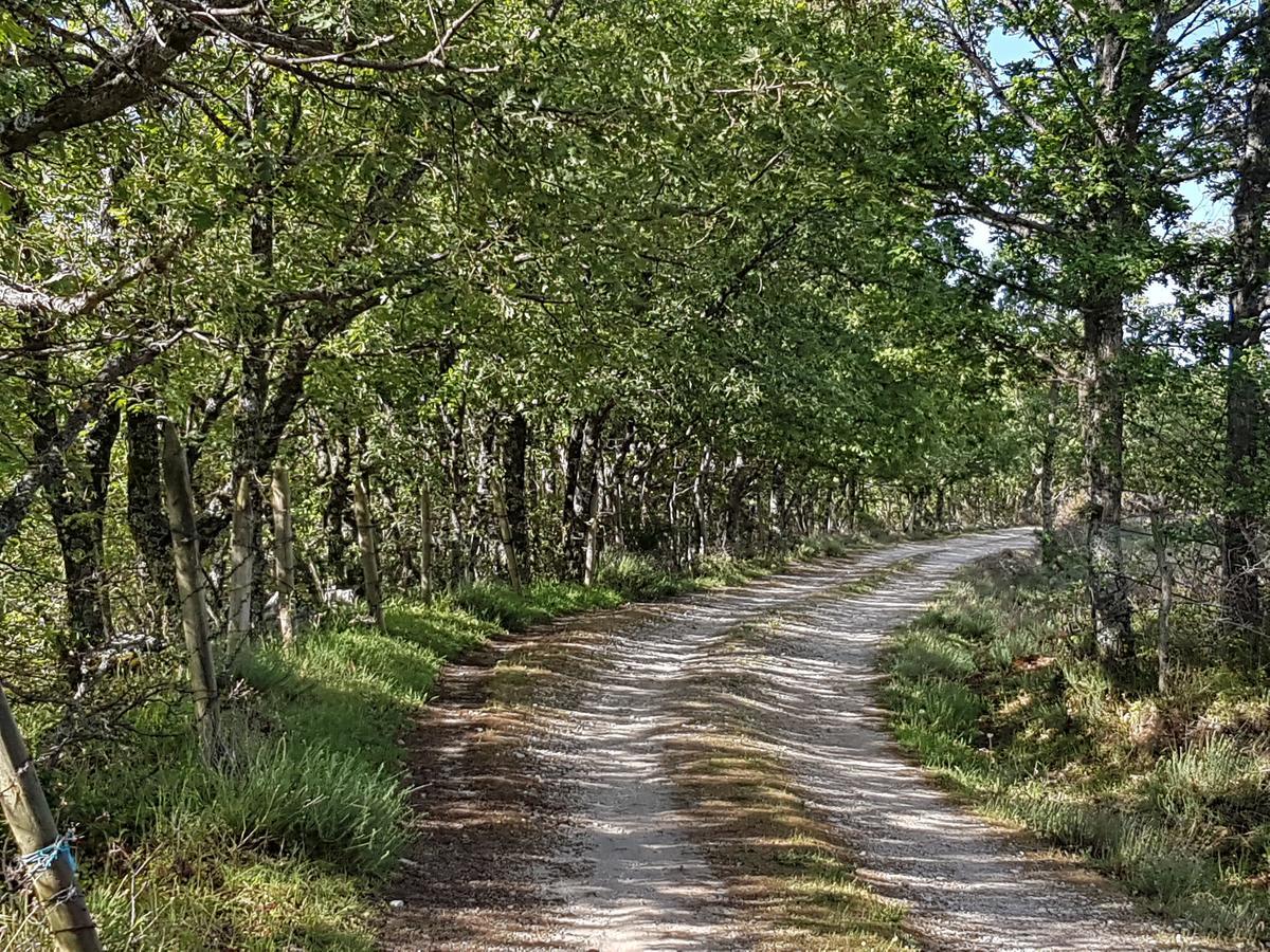 La Posada De Horcajuelo Horcajuelo de la Sierra Εξωτερικό φωτογραφία