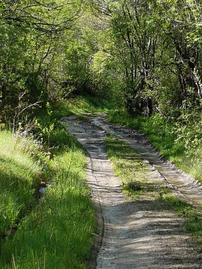La Posada De Horcajuelo Horcajuelo de la Sierra Εξωτερικό φωτογραφία