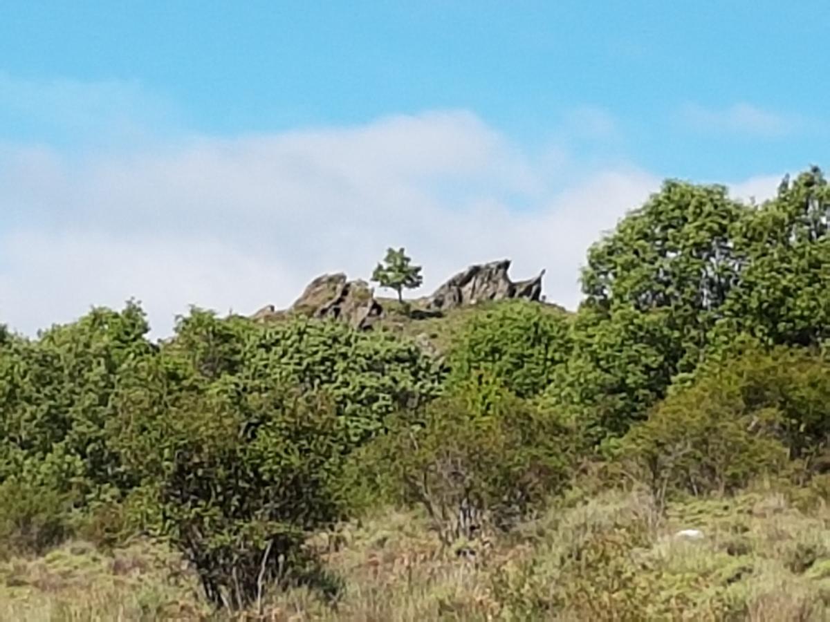 La Posada De Horcajuelo Horcajuelo de la Sierra Εξωτερικό φωτογραφία