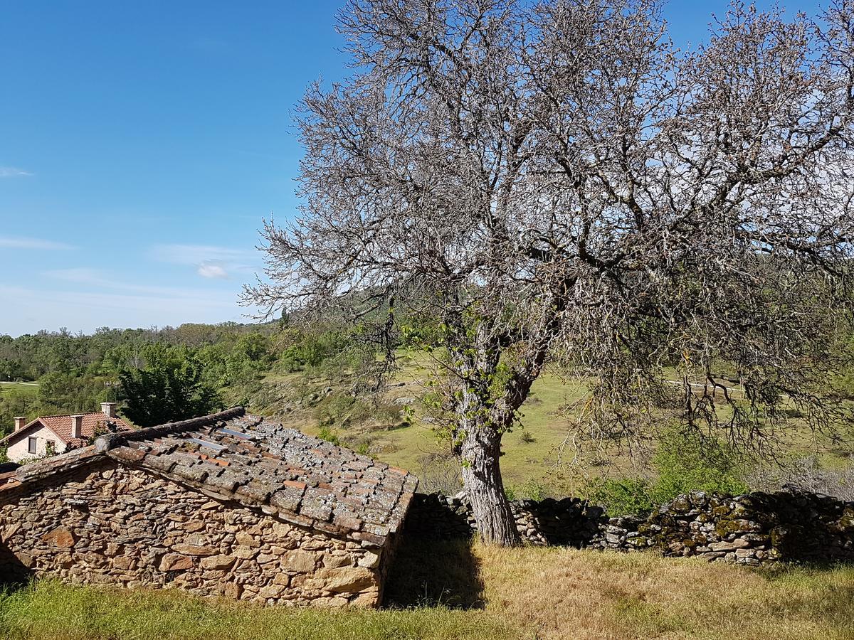 La Posada De Horcajuelo Horcajuelo de la Sierra Εξωτερικό φωτογραφία