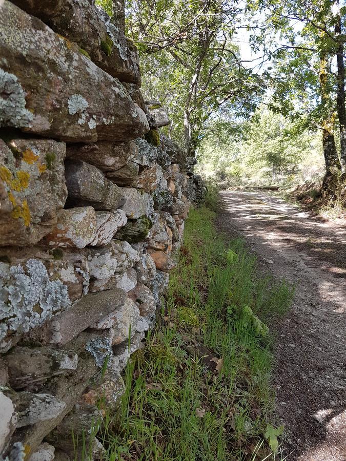 La Posada De Horcajuelo Horcajuelo de la Sierra Εξωτερικό φωτογραφία