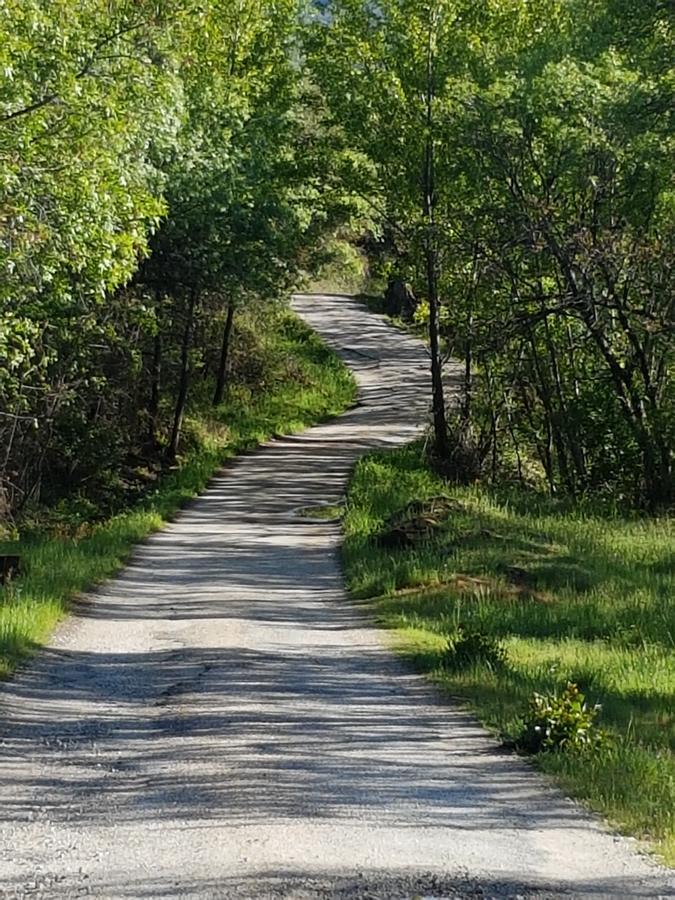 La Posada De Horcajuelo Horcajuelo de la Sierra Εξωτερικό φωτογραφία