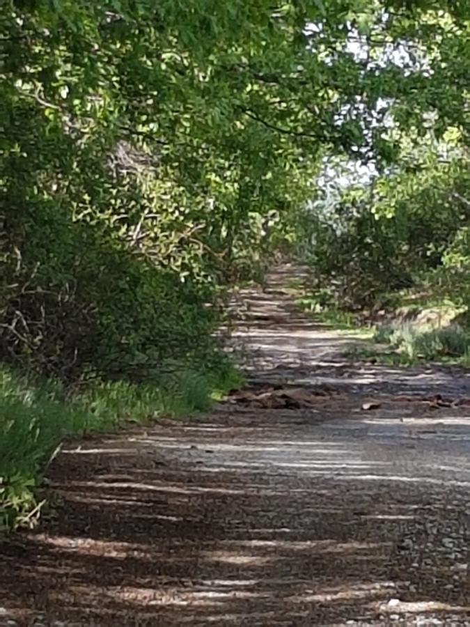 La Posada De Horcajuelo Horcajuelo de la Sierra Εξωτερικό φωτογραφία
