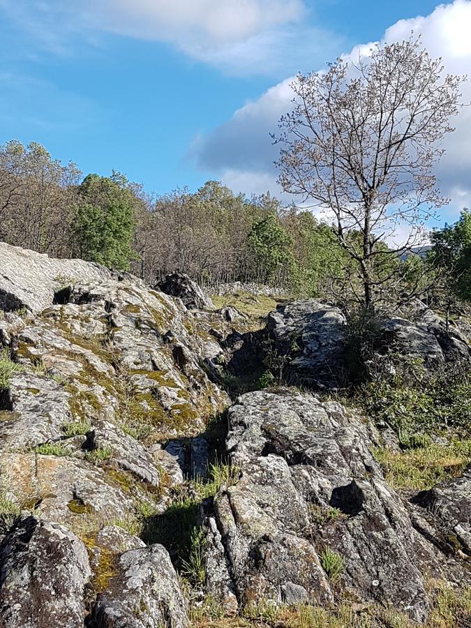 La Posada De Horcajuelo Horcajuelo de la Sierra Εξωτερικό φωτογραφία